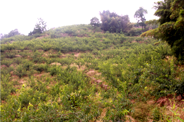 四川省民生研究会新媒体中心-官网