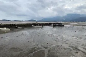 与小海鲜们捉迷藏（篇一）图片