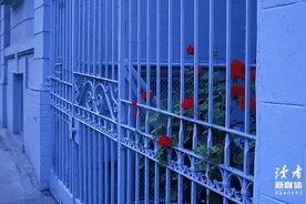 《月亮与六便士》：生活怎么过，都会后悔图片