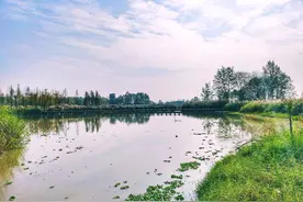 推荐成都5个面积最大的湿地公园，凉快又惬意，周末一起去吸氧吧图片