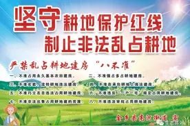 高河街道关于严禁在耕地内种植各种树木、严禁“撂荒地”的通告图片