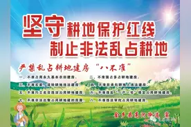 高河街道关于严禁在耕地内种植各种树木、严禁“撂荒地”的通告图片