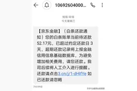 京东白条治好了我的强迫症图片
