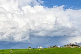 宫崎骏画笔里的童话世界——初见是白月光，重温是回忆录图片