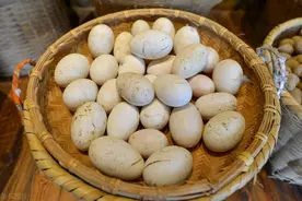 鹅蛋为啥卖的少，吃的人更少，原来是这样，详细讲给大家听听图片