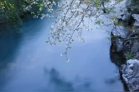 一些花的别称或雅称：图片