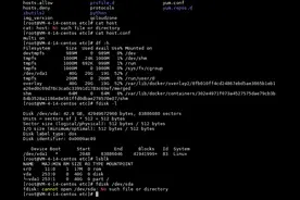 Linux日常小技巧之磁盘挂载图片