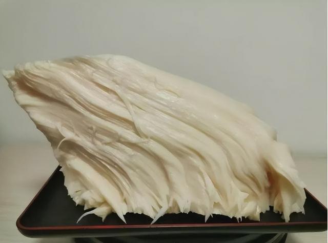 发财了？大连男子捡到“太岁”，专家估值500万，真这么值钱吗？