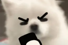 喊狗子爹秒回，叫名字不理人，这是成精了图片