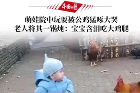 11月17日，吉林。萌娃院中玩耍被公鸡猛啄大哭，老人将其一锅炖：宝宝含泪吃大鸡腿图片