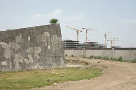 露天菜地每亩给2200元，事关征地青苗补偿，河北一地征求意见图片