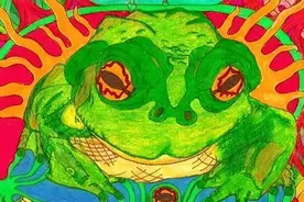 重口味！美国流行舔蟾蜍，致幻毒素堪比吸毒，澳洲狗子已上瘾图片