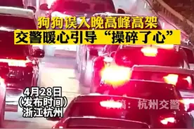 真是“操碎了心”！狗狗晚高峰误上高架遇到暖心交警图片