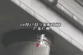 猫咪被困高空命悬一线，保安用杆子勾开牵引绳，众人撑床单稳稳接住图片