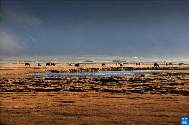 南疆高原天堂，古丝绸之路的历史见证，神奇的大漠如梦幻一般