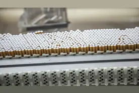 香烟是怎样制作的？里面的烟草又是从哪来的？从根本上了解香烟图片