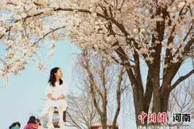 郑州：樱花绽放满园春 花团锦簇间一派春意盎然图片