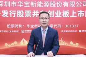 靠充电宝撑起的百亿山东富豪！营收不到3亿，市值却高达225亿图片