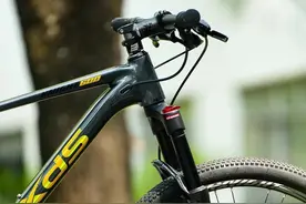 自行车十大品牌浅析图片