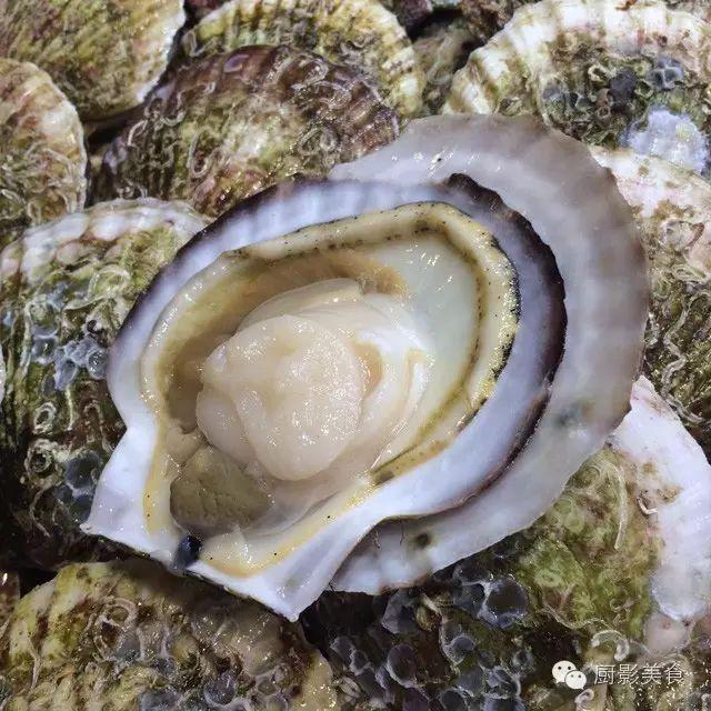 40头的花胶是几级 2025年花胶40头是什么意思?