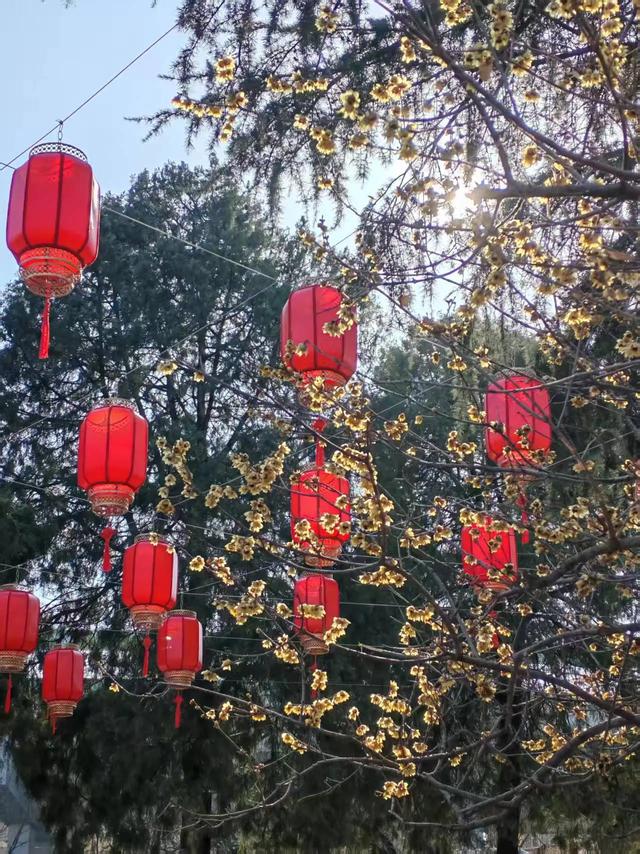 济南“上新街”上的古建筑博物馆免费截止到3.18日，9-16点入园