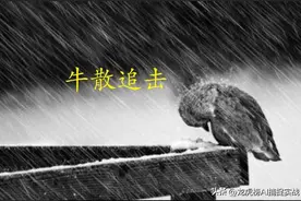 扒一扒牛散王孝安的持股（一个乡村数学教师的牛散之路）图片