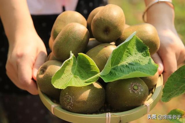 寤鸿涓€佸勾浜猴細杩囧勾涔版按鏋滐紝杩?绉嶅彲浠ユ斁蹇冨悆锛屼綆绯栧ソ鍚冭惀鍏婚珮