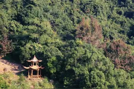 广东信宜出发自驾2日游好去处攻略推荐图片