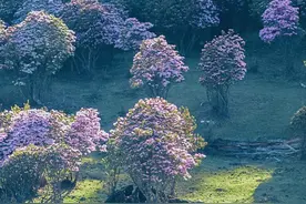 最新放假通知：连休5天！图片