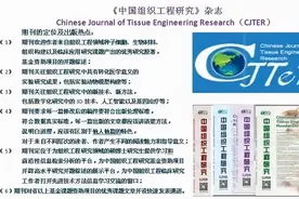高被引综述的写作建议图片