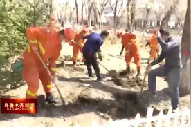 乌鲁木齐今年提升改造18条道路绿化图片