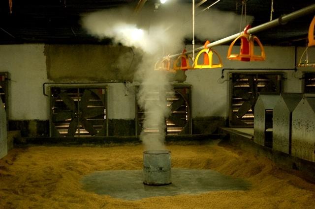 鸡皮肤怎么去除甲醛方法