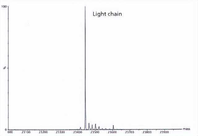 单克隆抗体的表征分析有哪些？