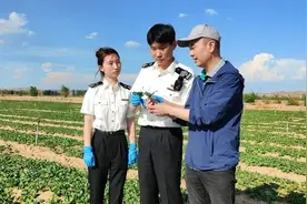 外贸稳中升级有硬招图片