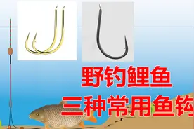 野钓鲤鱼最常用三种鱼钩，学会灵活选用，大鱼上岸更简单图片
