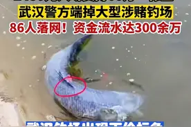 一条标鱼60万！武汉一钓场被端掉，“天价标鱼”背后暗藏哪些内幕图片