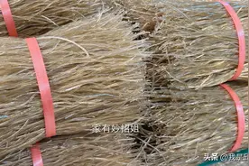 ​家里有粉条的留意，用水泡一泡，出现这种情况不建议再吃！图片