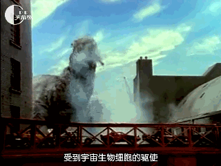 「伪百科」盘点昭和奥特曼中的古生物（终话）