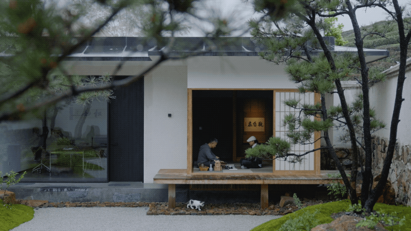 杭州夫妻造园30年:300㎡,只种两种树