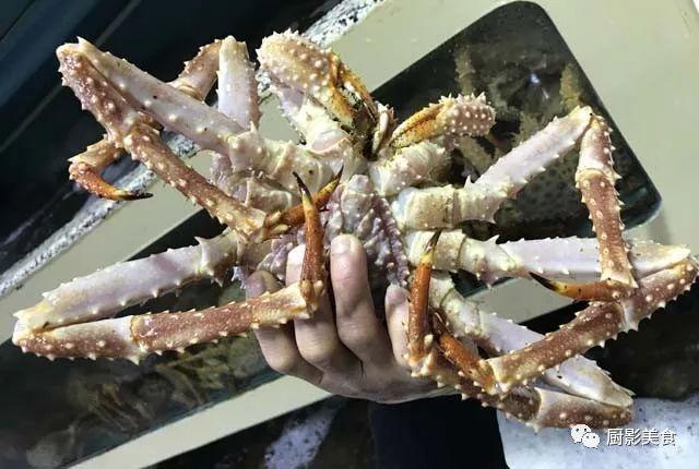 40头的花胶是几级 2025年花胶40头是什么意思?