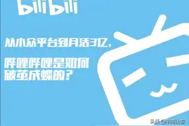 从小众平台到月活3亿，哔哩哔哩是如何破茧成蝶的？图片