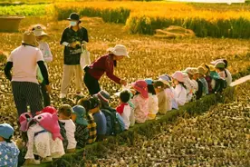 大理幼儿园太火了，带儿子体验了1个月，我却有点失望…图片
