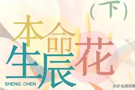 属于你的本命生辰花，每天都不一样（下）图片