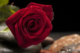 人到中年，爱上了一个有家的人，这是怎样的一种劫？图片