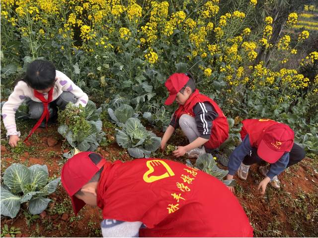 四川省民生研究会新媒体中心-官网