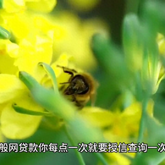 征信报告逾期了3元，关于征信报告,你不知道的那些事情 配图03