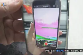 6889元买苹果14pro 一拍视频就花屏图片