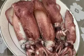 潮汕活鱿鱼，一闪一闪怎么做都好吃图片