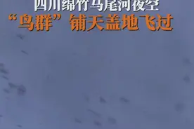 反常预兆？四川绵竹上空疑现大量蝙蝠群图片