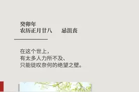 一个人，也挺好​图片